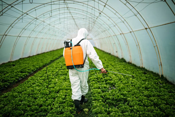 Best Affordable Pest Control Services  in Grand Blanc, MI