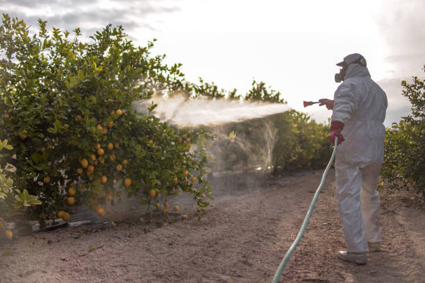 Best Pest Control Cost  in Grand Blanc, MI