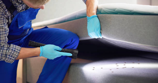 Best Wasp Removal Services  in Grand Blanc, MI