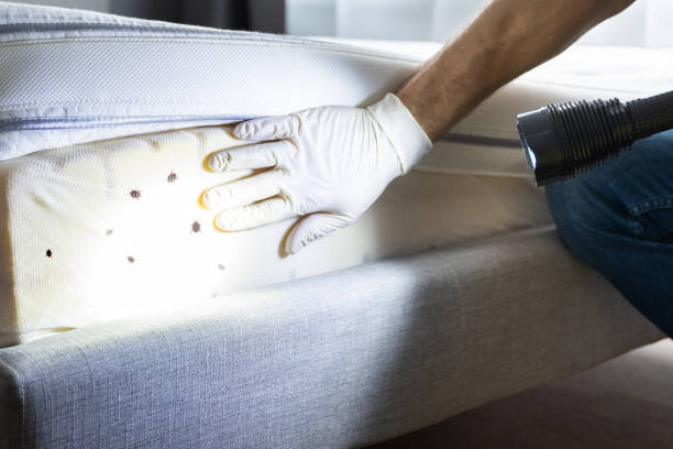 Best Pest Removal Services  in Grand Blanc, MI