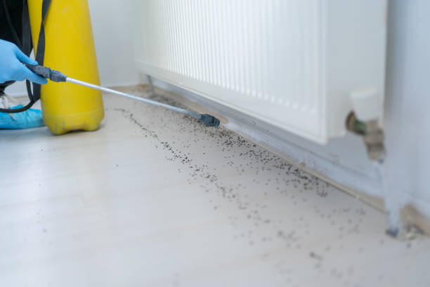 Best Best Pest Control Companies  in Grand Blanc, MI