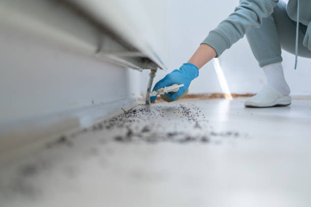 Best Pest Removal Services  in Grand Blanc, MI