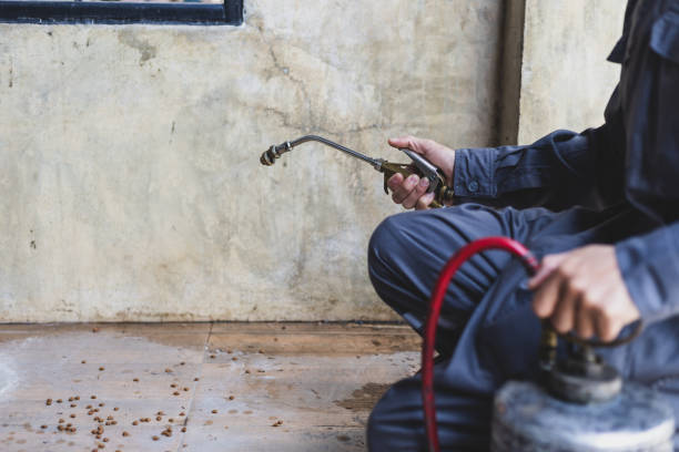Best Emergency Pest Control  in Grand Blanc, MI